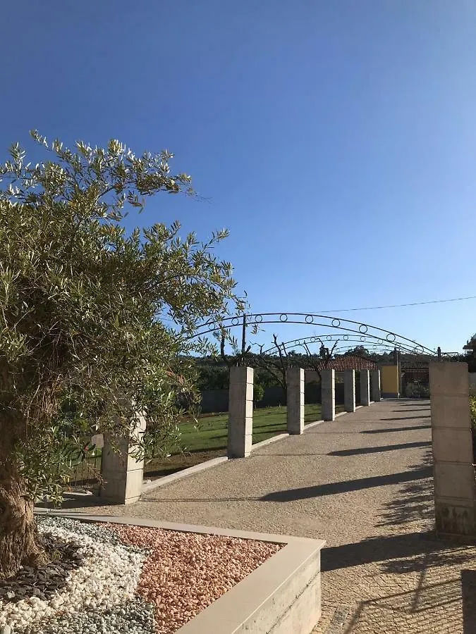 Villa Canepa Diano Marina